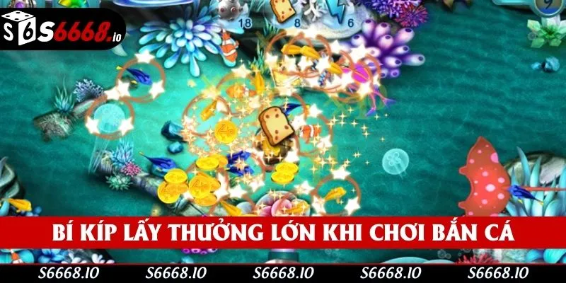 Bí kíp lấy thưởng lớn khi chơi bắn cá Bí kíp lấy thưởng lớn khi chơi bắn cá