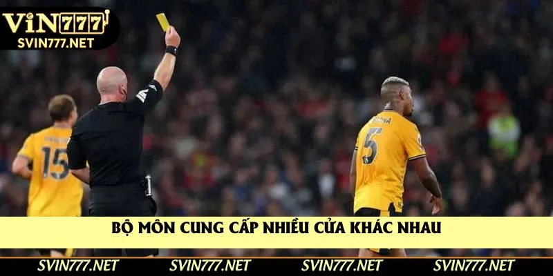 Bộ môn cung cấp nhiều cửa khác nhau