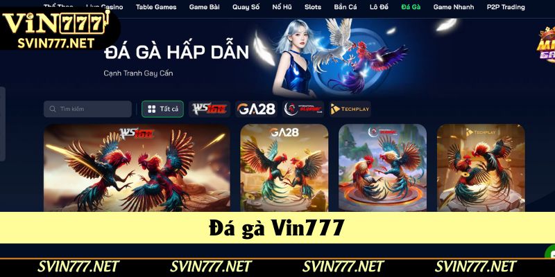 Thành viên được tham gia nhiều trận đấu đá gà trên toàn quốc Thành viên được tham gia nhiều trận đấu đá gà trên toàn quốc